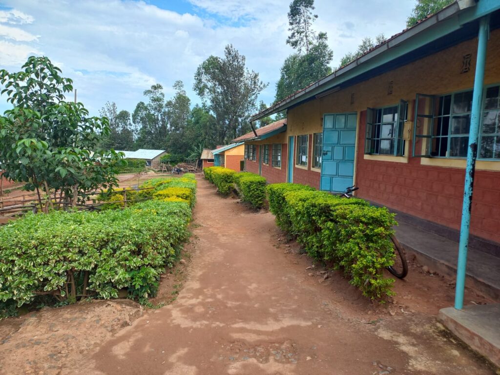 School compound